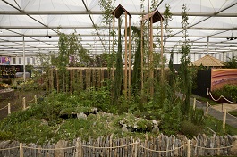 Size of Wales' Garden Wins Gold at Chelsea Flower Show